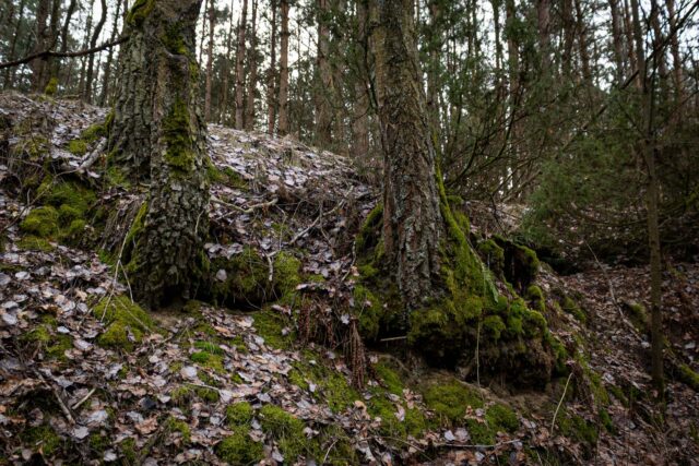 Spacer fotograficzny w wąwozie w Międzylesiu - w poszukiwaniu inspiracji